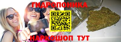 тгк Новокубанск
