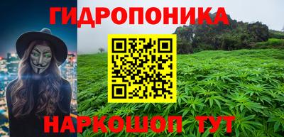 сатива Нарткала