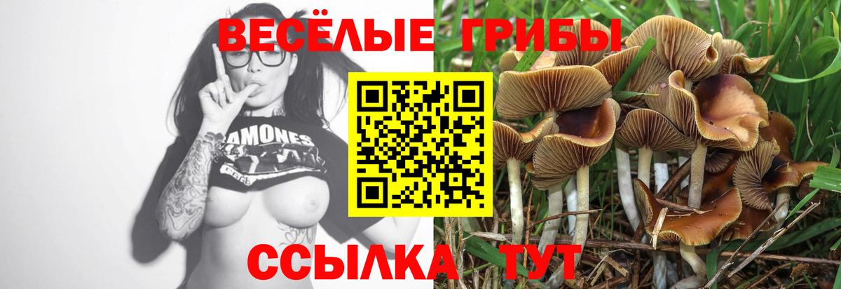 Галлюциногенные грибы Magic Shrooms Тамбов