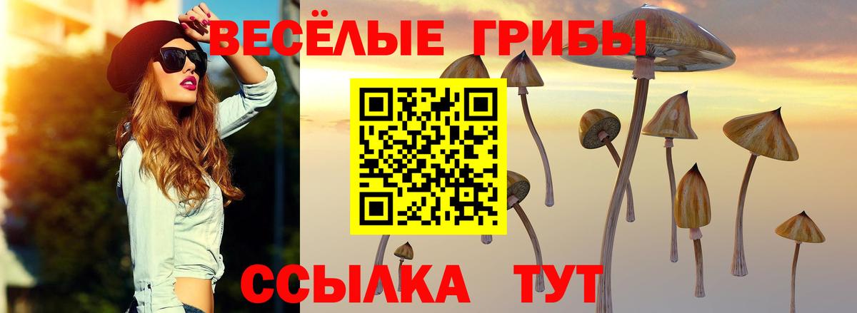 дарнет шоп  Вход с VPN  Галлюциногенные грибы Psilocybe  Тамбов  Псилоцибиновые грибы Cubensis 